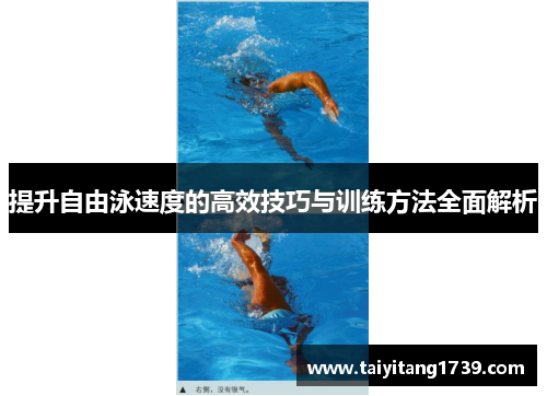 提升自由泳速度的高效技巧与训练方法全面解析