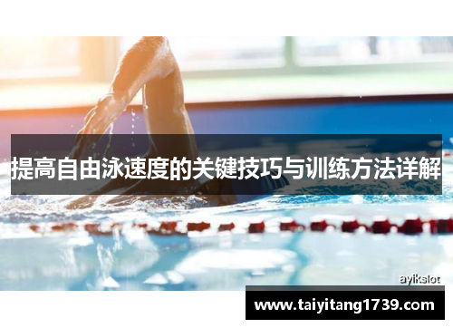 提高自由泳速度的关键技巧与训练方法详解