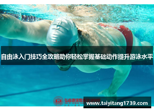 自由泳入门技巧全攻略助你轻松掌握基础动作提升游泳水平