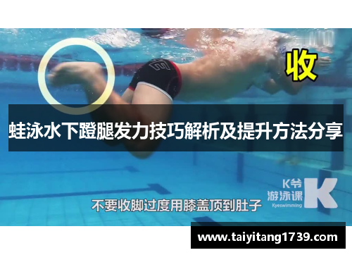 蛙泳水下蹬腿发力技巧解析及提升方法分享