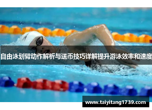自由泳划臂动作解析与送币技巧详解提升游泳效率和速度