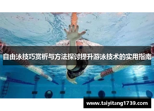 自由泳技巧赏析与方法探讨提升游泳技术的实用指南