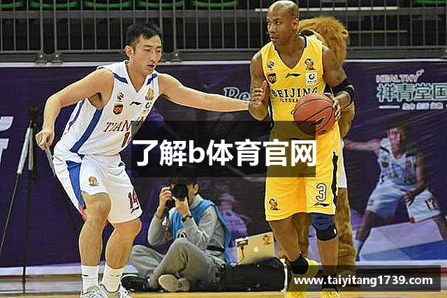 了解b体育官网